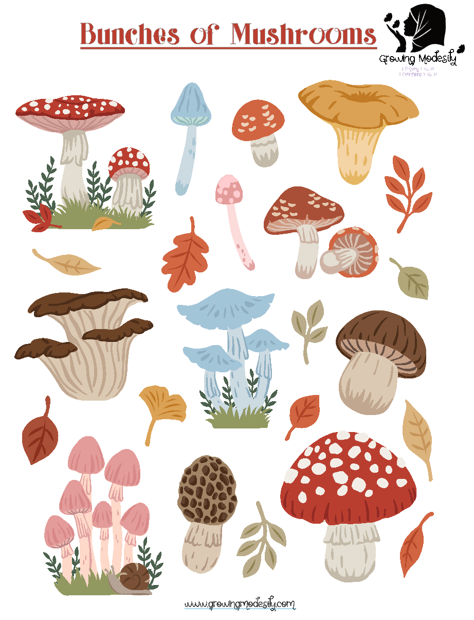 Bunches of Mushrooms