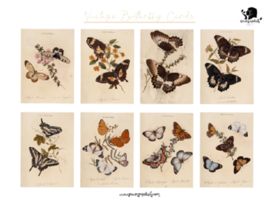 Vintage Butterfly Cards